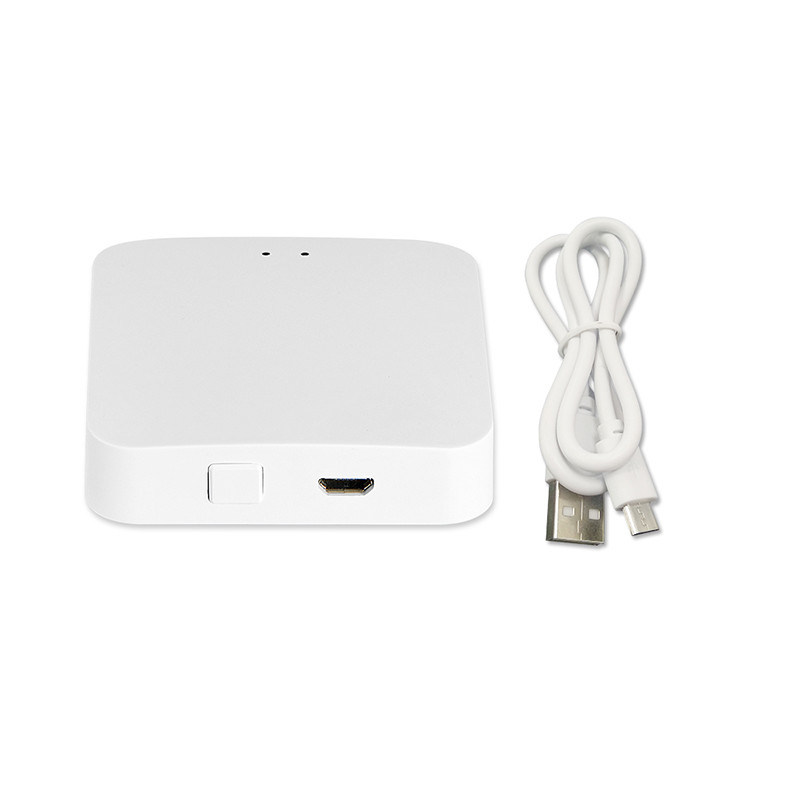 Graffiti-Zugangs-Smart-Warnungs-Sensor drahtloser HauptzigBee MINI Homekit Door Alarm